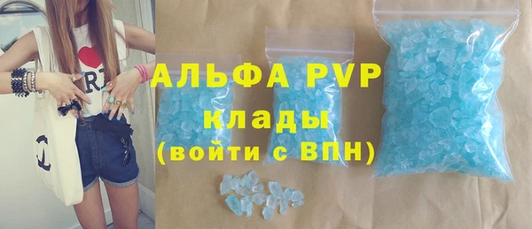 трава Белокуриха