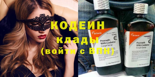трава Белокуриха
